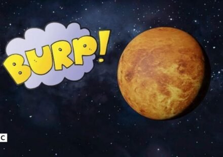 Did Venus Swallow: 10 Amazing Facts You Need to Know (2026)