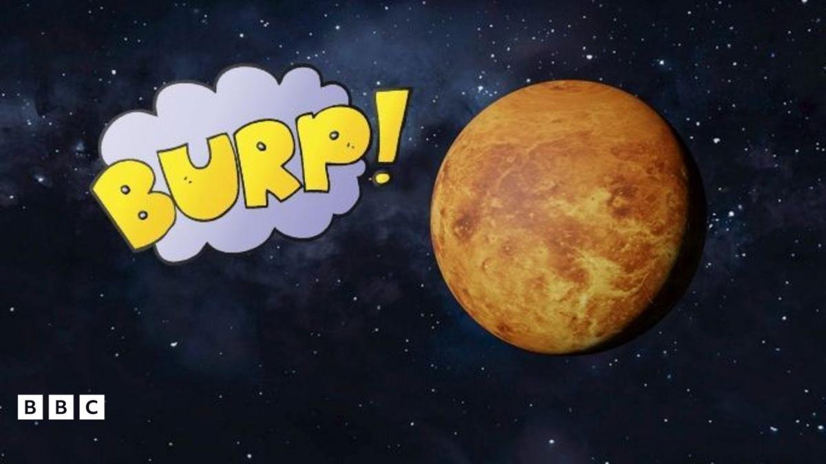Did Venus Swallow: 10 Amazing Facts You Need to Know (2026)