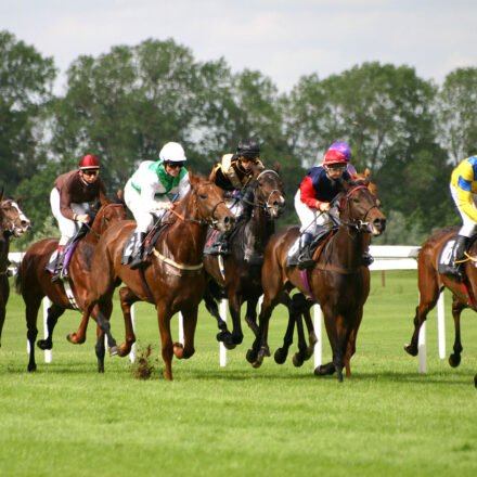 Horse Racing Results Today