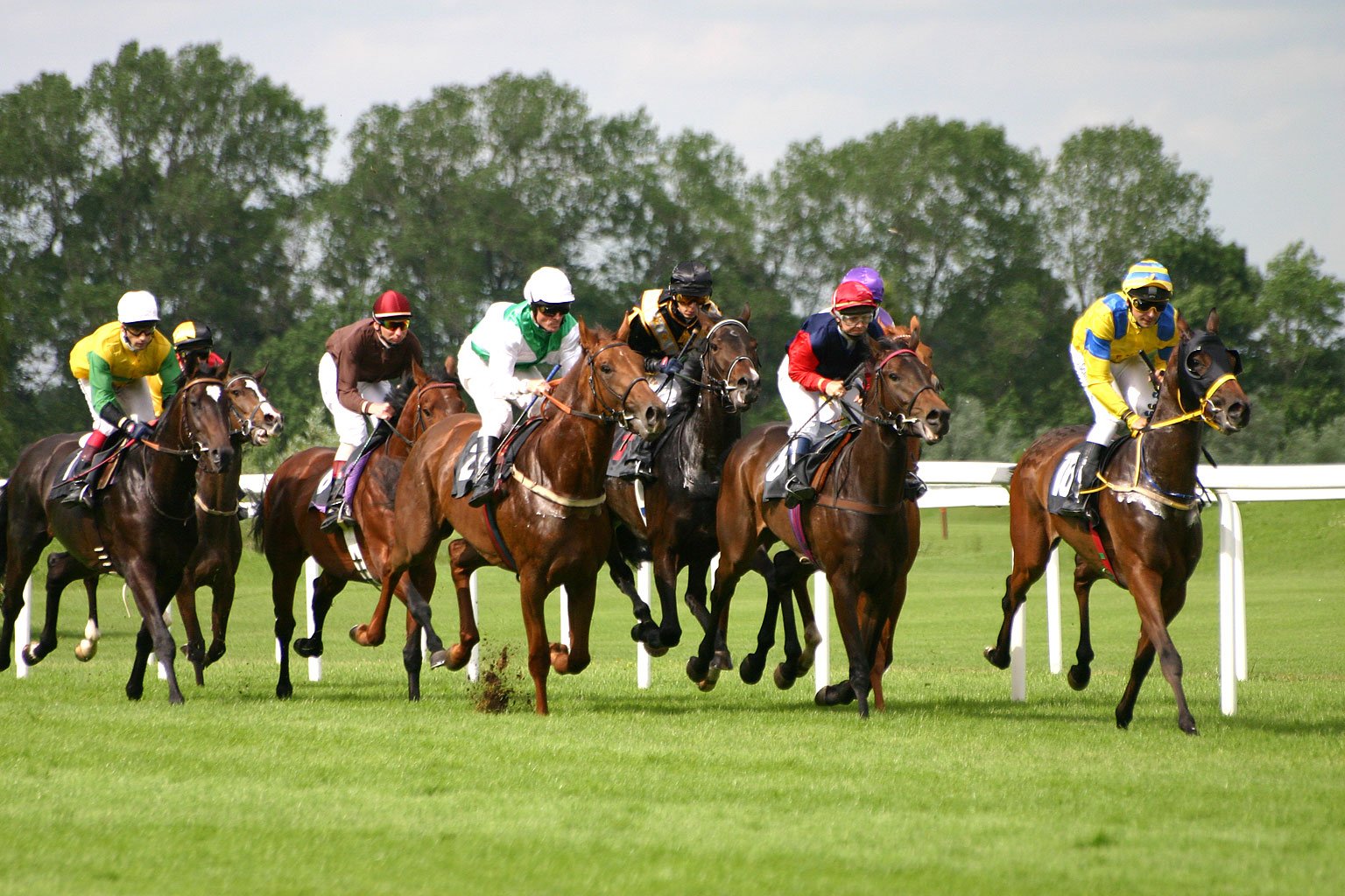 Horse Racing Results Today