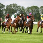 Horse Racing Results Today