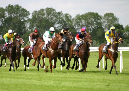 Horse Racing Results Today