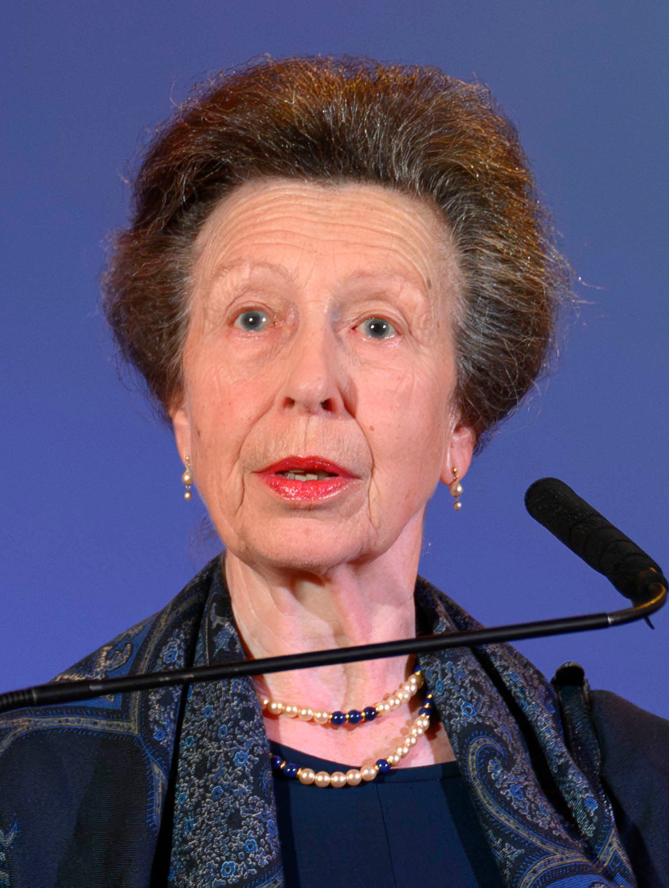 Princess Anne reveals the 1 household chore that made Queen